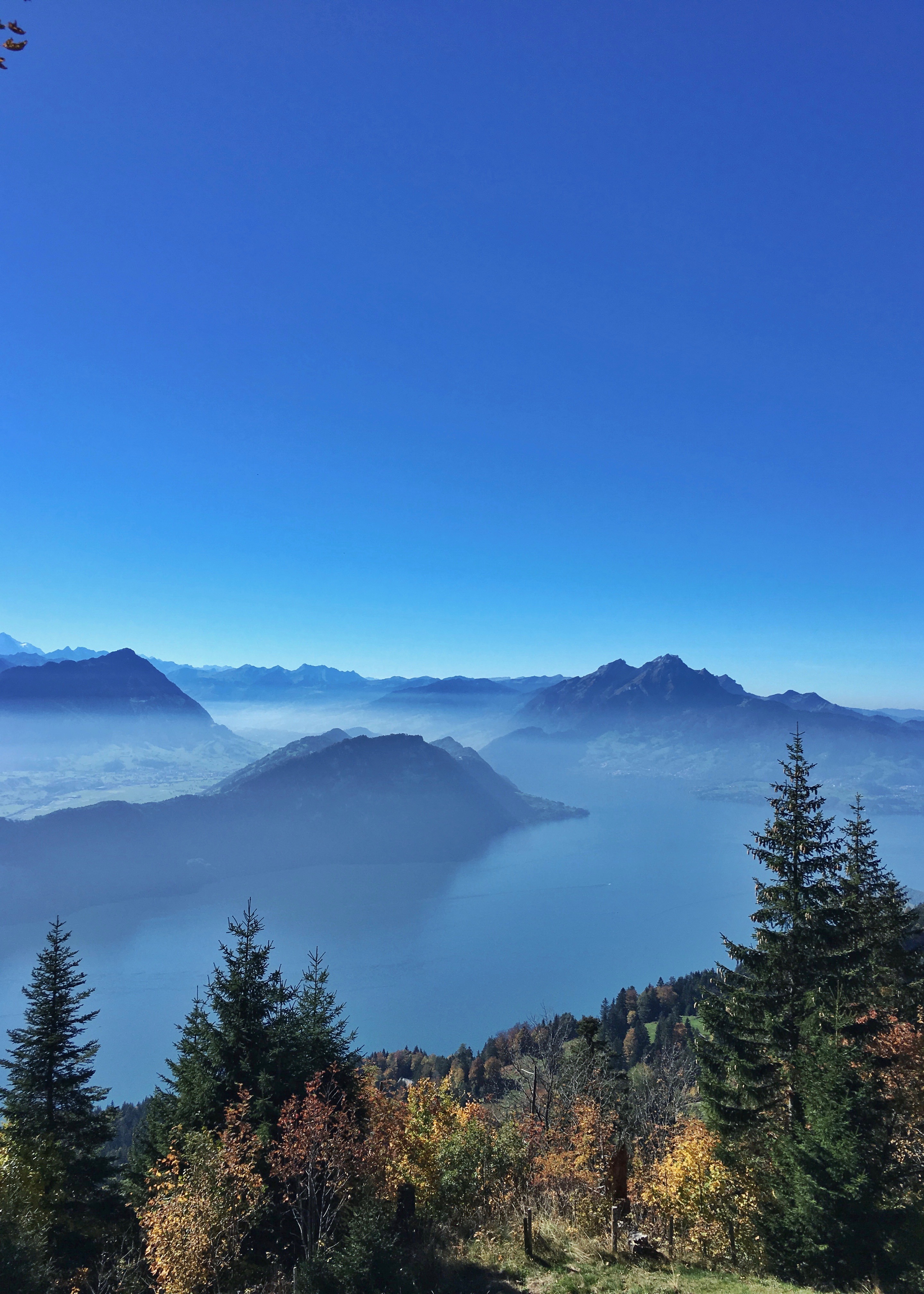 Swiss Alps
